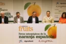 Reconquistar al consumidor, el gran reto de la naranja española