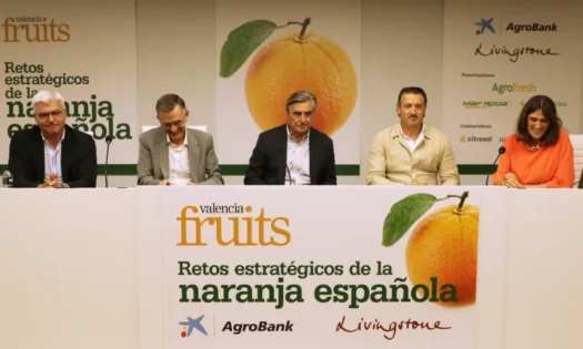 consumidor naranja española evento Valencia Fruits / agroautentico.com