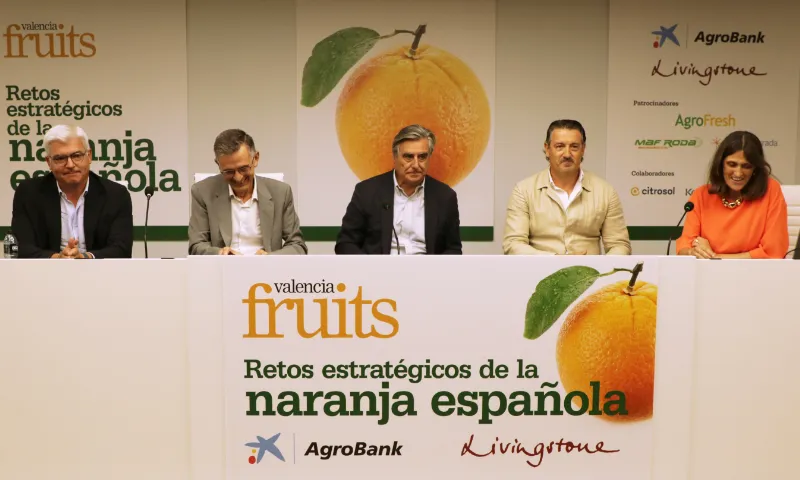 consumidor naranja española evento Valencia Fruits / agroautentico.com