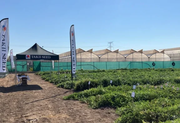 Novedades de Takii en sandía con microsemillas, en melón piel de sapo y en galia con Goya