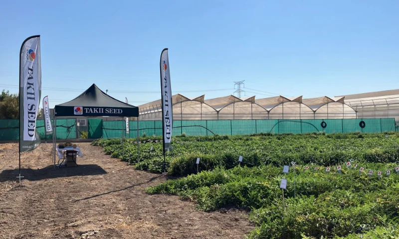 Takii presenta sus novedades en melón y sandía durante sus jornadas de puertas abiertas en Torre Pacheco