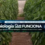 Microbiología agrícola en Almería