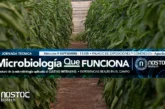 Microbiología agrícola en Almería: la ciencia detrás de los cultivos que mejor resisten