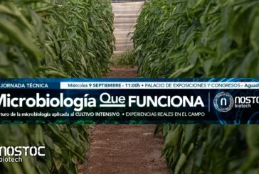 Microbiología agrícola en Almería: la ciencia detrás de los cultivos que mejor resisten