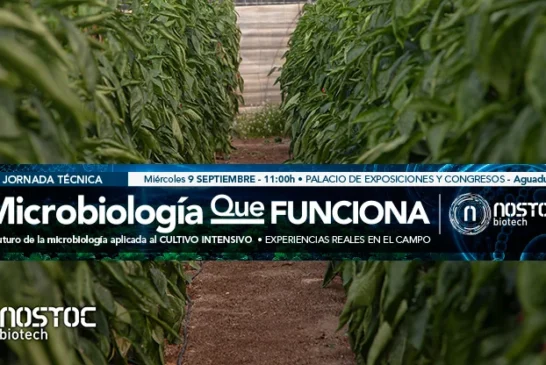 Microbiología agrícola en Almería: la ciencia detrás de los cultivos que mejor resisten