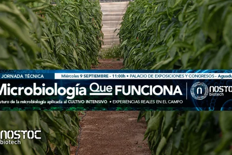 Microbiología agrícola en Almería: la ciencia detrás de los cultivos que mejor resisten