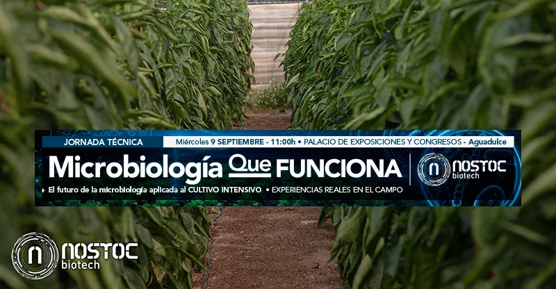 Microbiología agrícola en Almería: la ciencia detrás de los cultivos que mejor resisten