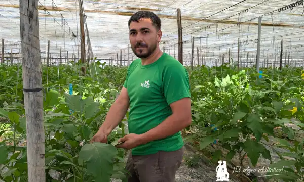 Adrián Albacete es un joven agricultor de Vícar / agroautentico.com