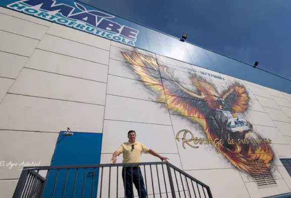 El ave fénix de Mabe emprende el vuelo en la campaña 2026/27