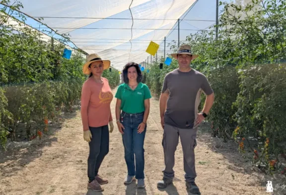 El cherry en verano es bajo malla, en comarcas y serranías del interior y con microbianos