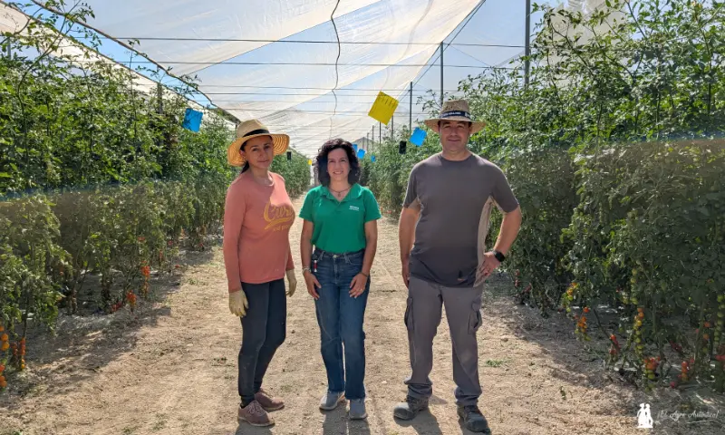 El cherry en verano es bajo malla, en comarcas y serranías del interior y con microbianos
