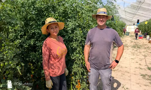 Axia y Raúl en su invernadero de tomate cherry en el interior de Granada / agroautentico.com