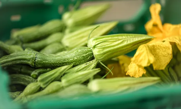 Bínu / agroautentico.com