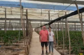 Green Care es el nuevo plástico de cubierta que reduce temperatura y blanqueo