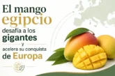 El mango egipcio desafía a los gigantes y acelera su conquista de Europa
