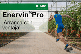 SIDE BAR 6 BASF AGROMARKETIN