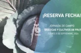Día 3 de septiembre. Jornada de brásicas y cultivos de fruto de Bejo en Zafarraya