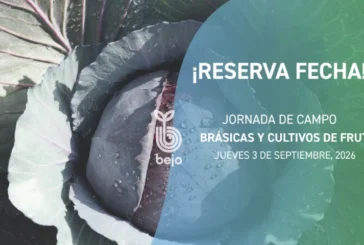 Día 3 de septiembre. Jornada de brásicas y cultivos de fruto de Bejo en Zafarraya