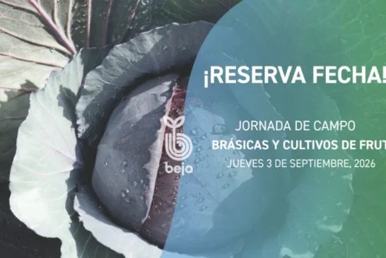 Día 3 de septiembre. Jornada de brásicas y cultivos de fruto de Bejo en Zafarraya