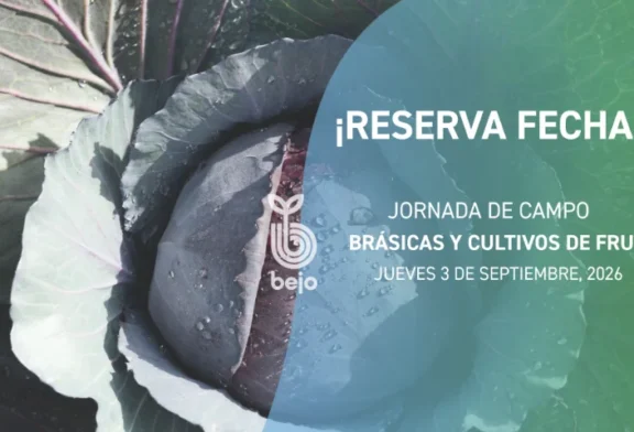 Día 3 de septiembre. Jornada de brásicas y cultivos de fruto de Bejo en Zafarraya
