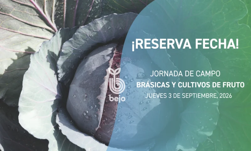 Día 3 de septiembre. Jornada de brásicas y cultivos de fruto de Bejo en Zafarraya