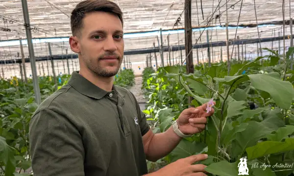 Leo Rodríguez es delegado técnico comercial de Seipasa en Almería / agroautentico.com