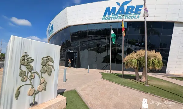 Mabe Hortofrutícola. Entrada principal. Agosto 2026 / agroautentico.com