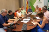 Se reúne la Mesa de Sanidad Vegetal para analizar el inicio de campaña y reforzar la prevención frente al Thrips parvispinus