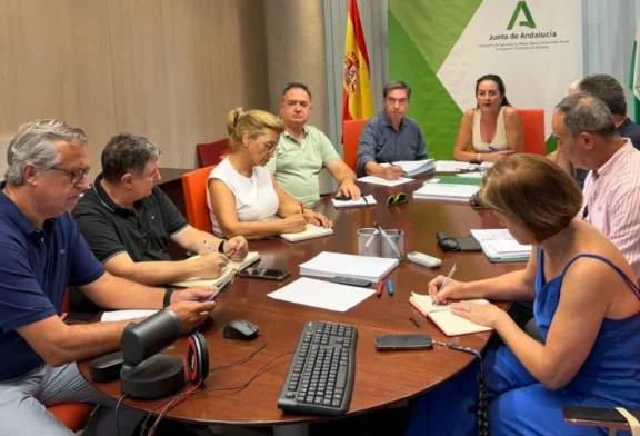 Se reúne la Mesa de Sanidad Vegetal para analizar el inicio de campaña y reforzar la prevención frente al Thrips parvispinus