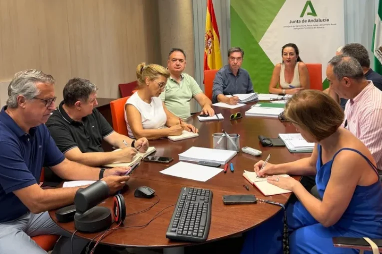 Se reúne la Mesa de Sanidad Vegetal para analizar el inicio de campaña y reforzar la prevención frente al Thrips parvispinus