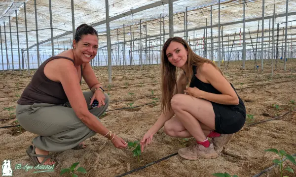 Nuria Tarragó, ingeniera de Mario Cano, con la joven agricultora almeriense Anabel Rubio / agroautentico.com