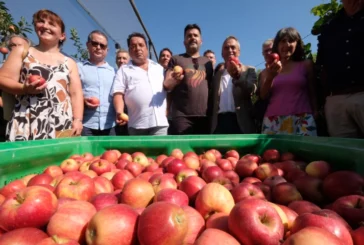 Primera manzana de Poma de Girona 2026
