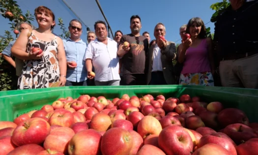 Primera manzana de Poma de Girona 2026