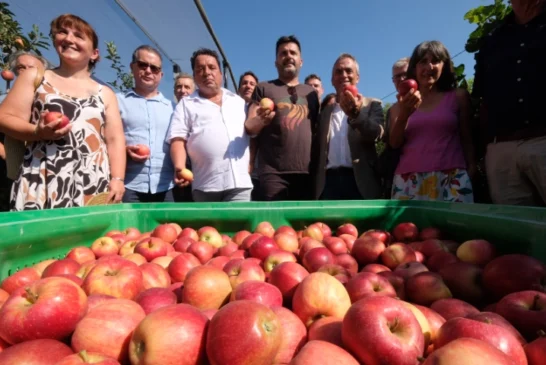 Primera manzana de Poma de Girona 2026
