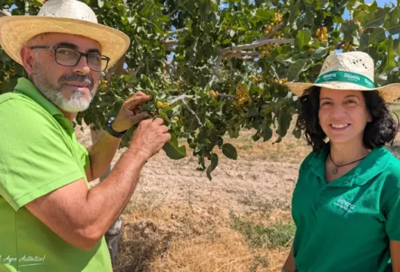 En la cuna de los Pistachos del Altiplano de Granada