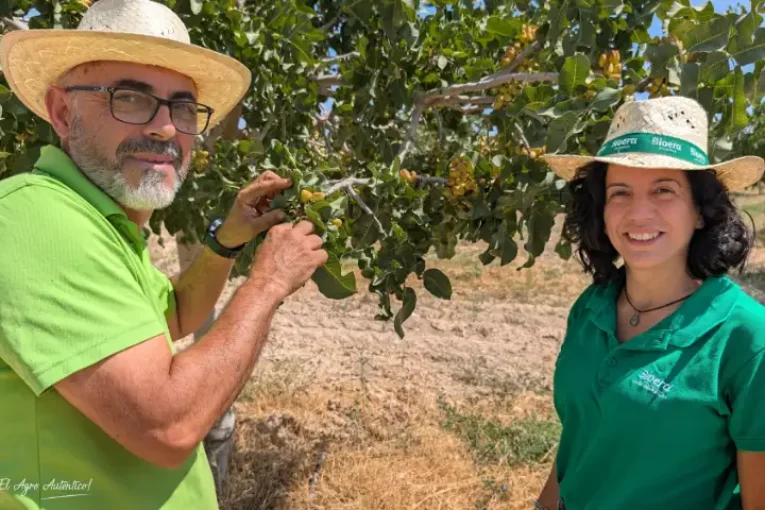 En la cuna de los Pistachos del Altiplano de Granada