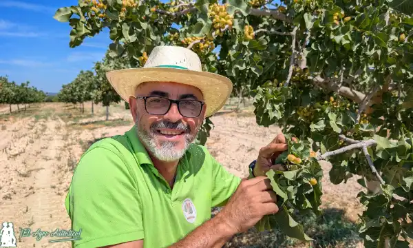 Terruza Pistachos socio fundador de Pistalgra SAT / agroautentico.com