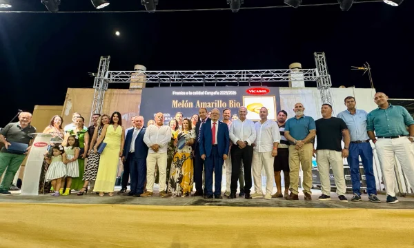 el modelo cooperativo Vicasol como un referente del sector 3