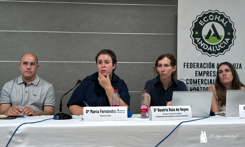 Los responsables de velar por la ley de la cadena alimentaria conocen la complejidad del ‘modelo Almería’