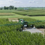Bayer avanza en su objetivo de llevar al mercado 10 grandes innovaciones en la próxima década