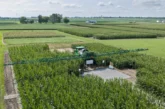 Bayer avanza en su objetivo de llevar al mercado 10 grandes innovaciones en la próxima década