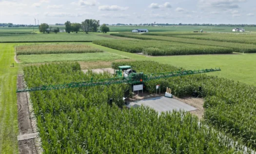 Bayer avanza en su objetivo de llevar al mercado 10 grandes innovaciones en la próxima década