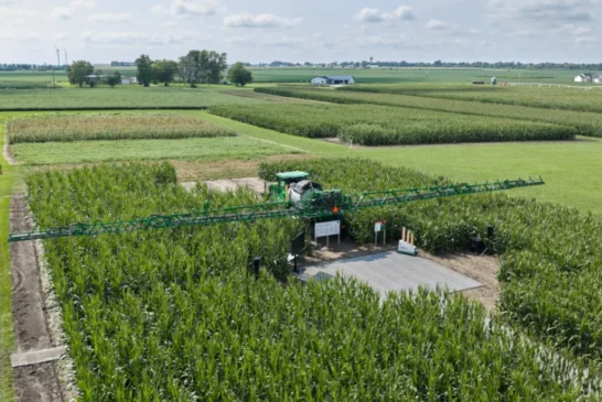 Bayer avanza en su objetivo de llevar al mercado 10 grandes innovaciones en la próxima década