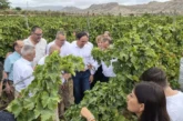 Brandt con la uva de mesa del Vinalopó en el inicio de campaña 2026