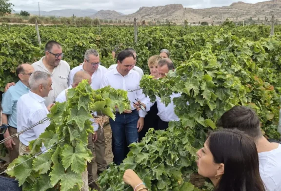 Brandt con la uva de mesa del Vinalopó en el inicio de campaña 2026