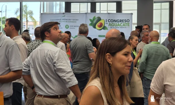 I Congreso de Aguacate en Motril. Organiza Granada más / agroautentico.com