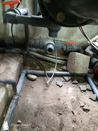 Finca situada entre El Ejido y La Mojonera, afectada por un robo / agroautentico.com