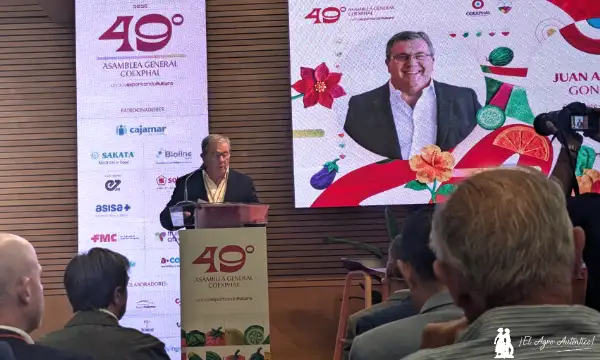 Juan Antonio González, presidente de Coexphal, durante la presentación de la escuela de negocios/ agroautentico.com