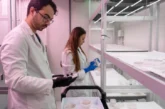 CapGen Seeds da un salto cualitativo en I+D con su nuevo laboratorio de biología molecular
