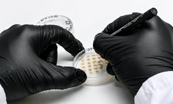 CapGen Seeds da un salto cualitativo en I+D agrario con la apertura de su nuevo laboratorio de biología molecular 2